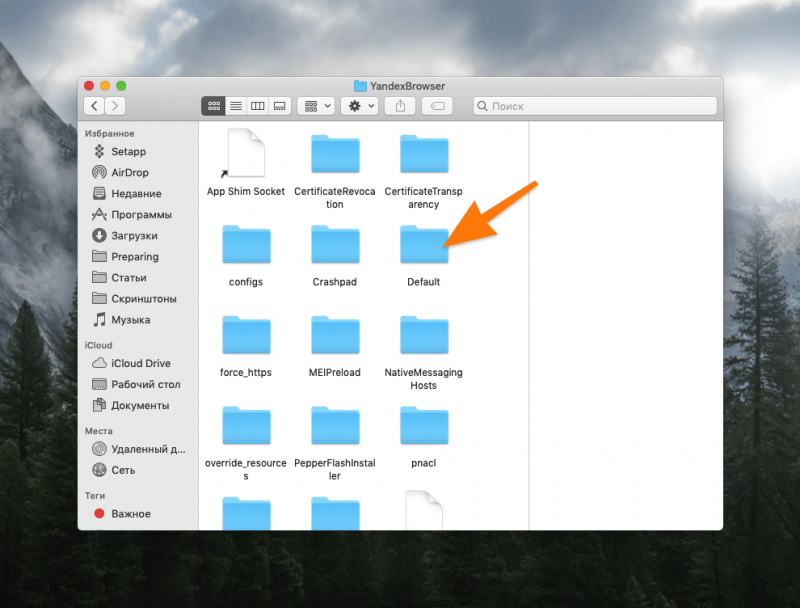 Папка YandexBrowser в Finder
