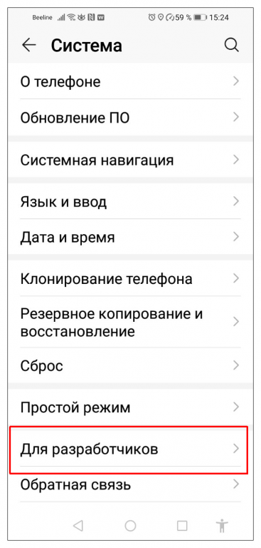 Вернитесь в меню «Система», откройте раздел «Для разработчиков»