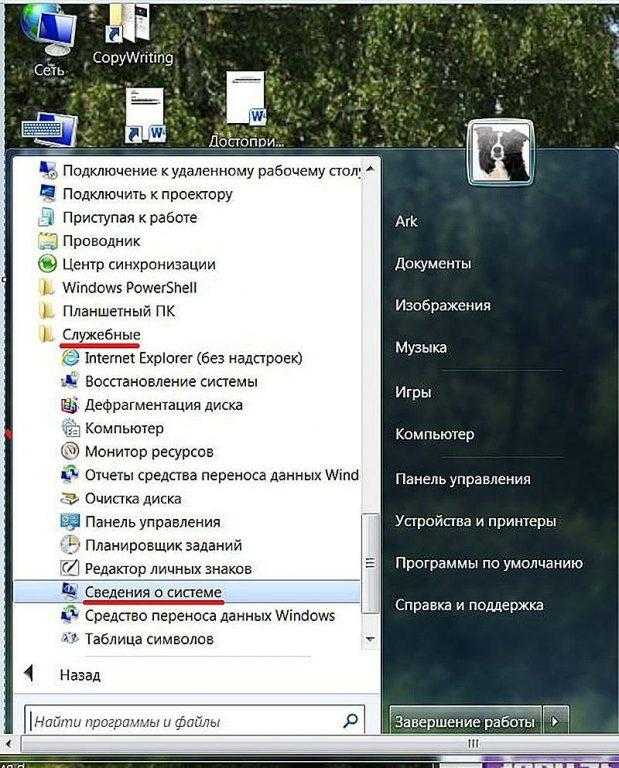 В открывшемся списке щёлкаем «Служебные», затем – «Сведения о системе».