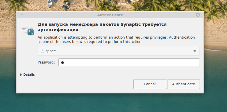Для запуска менеджера пакетов придется авторизоваться