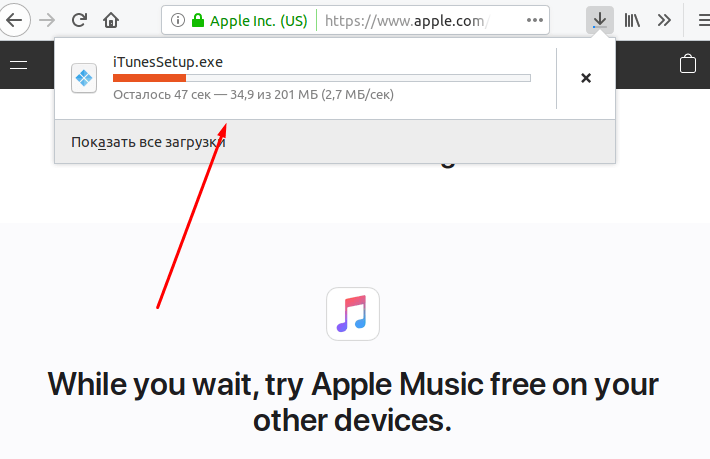 Загрузка инсталлятора iTunes в Linux