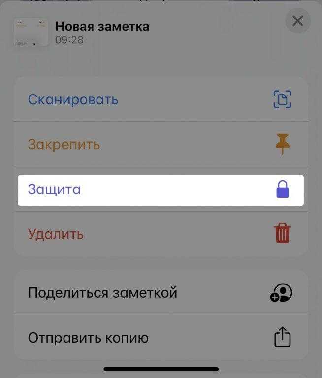 выбираем пункт защита и устанавливаем пароль на заметку