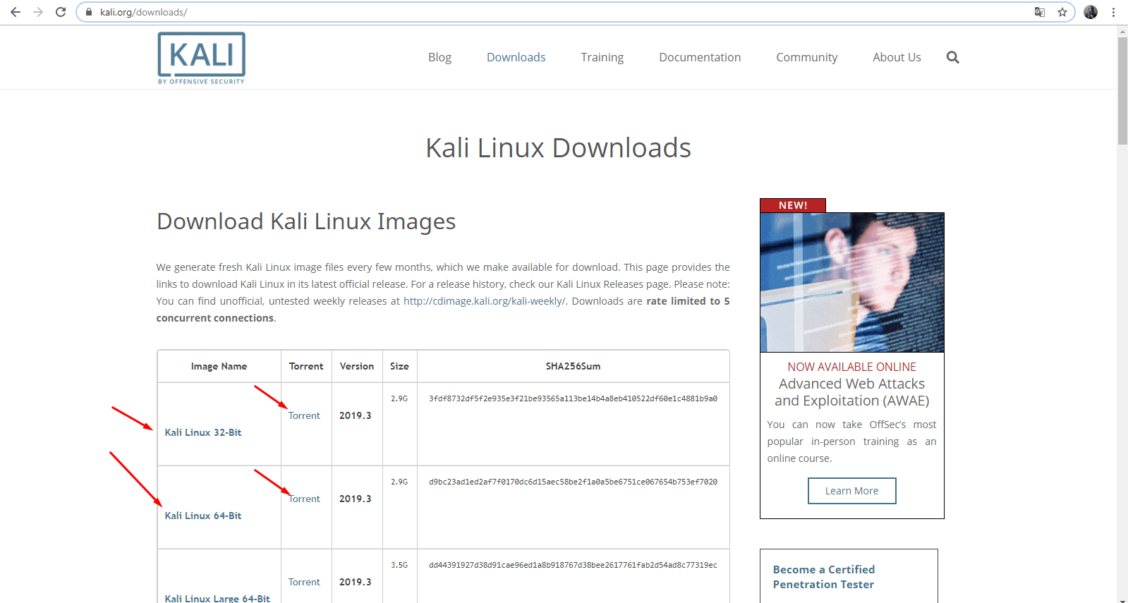 Скачивание образа Kali с официального сайта