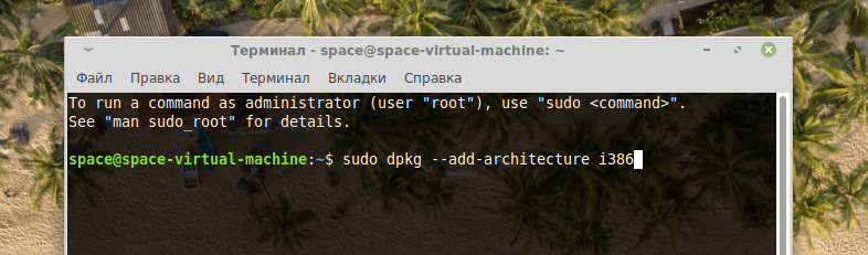 вводим команду: sudo dpkg —add-architecture