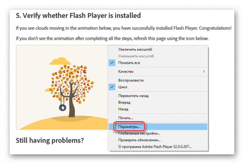 Параметры Flash Player в контекстном меню