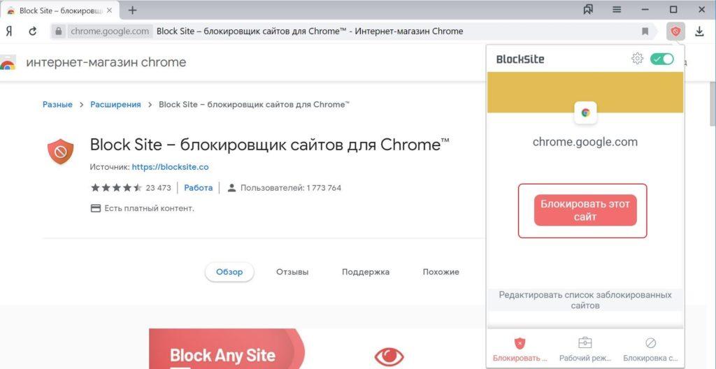 Блокировка отдельного сайта в Block Site