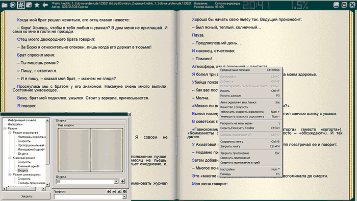 Интерфейс программы ICE Book Reader Professional