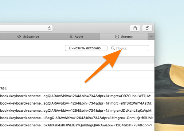 Журнал посещений в Safari на macOS 