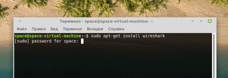 Запрос на ввод пароля в терминале Linux Mint