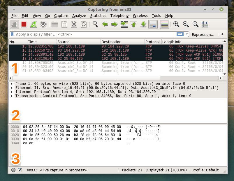 Основной интерфейс Wireshark с перехваченным пакетами