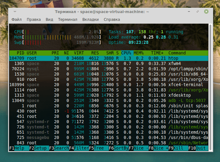 Интерфейс программы htop