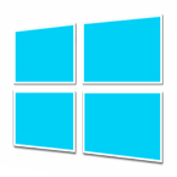 windows logo