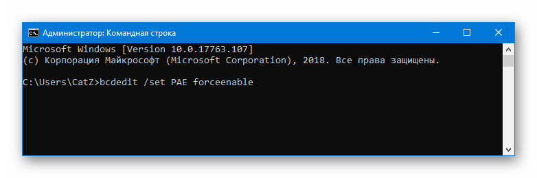 Командная строка bcdedit set PAE forceenable