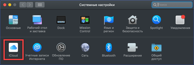 раздел iCloud в настройках macOS