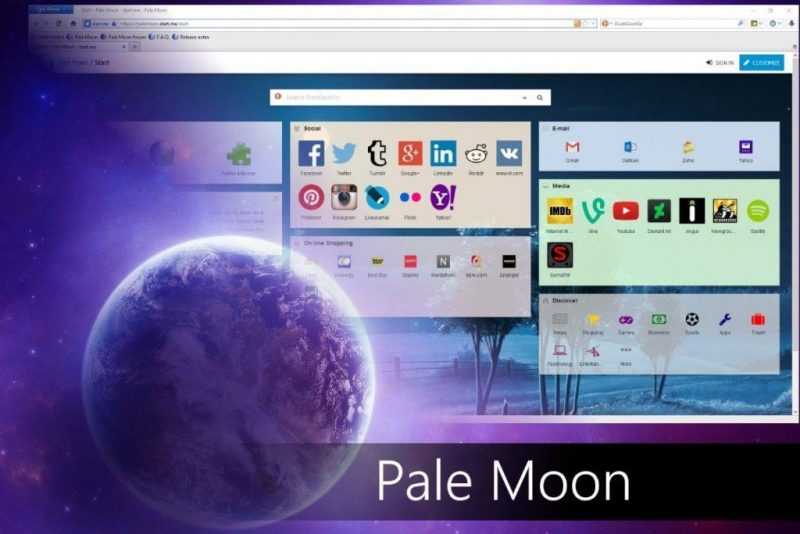 Pale Moon браузер с поддержкой flash player