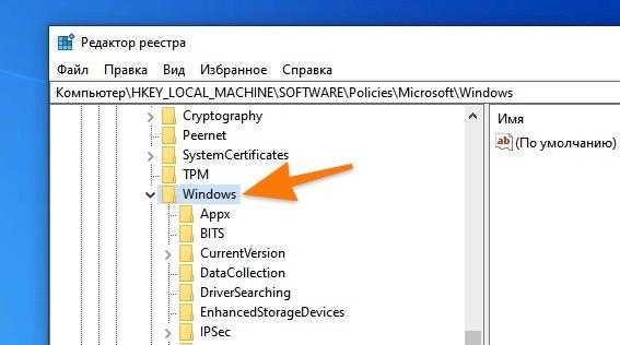 Папка Windows в редакторе реестра системы