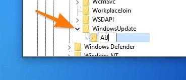 Директория AU в разделе WindowsUpdate