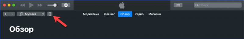 Верхняя панель iTunes