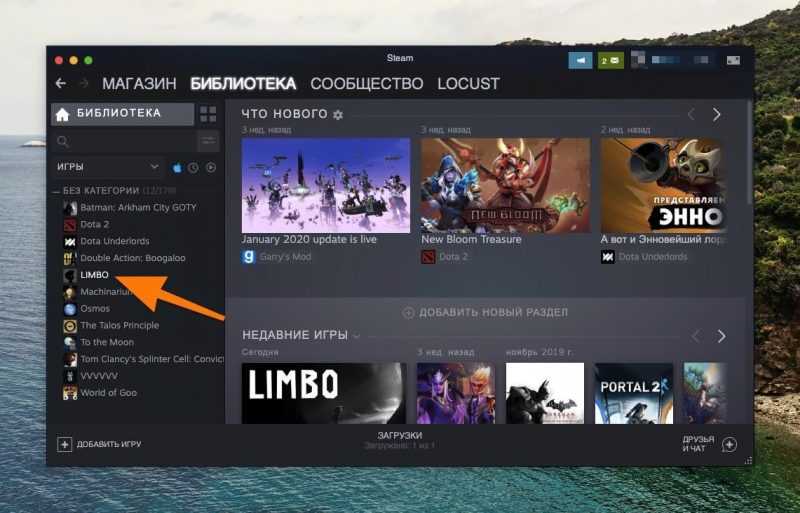 Библиотека в Steam