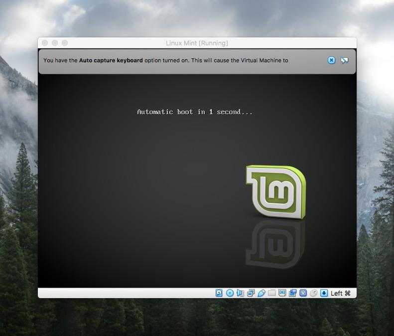 Стартовое окно установки Linux Mint