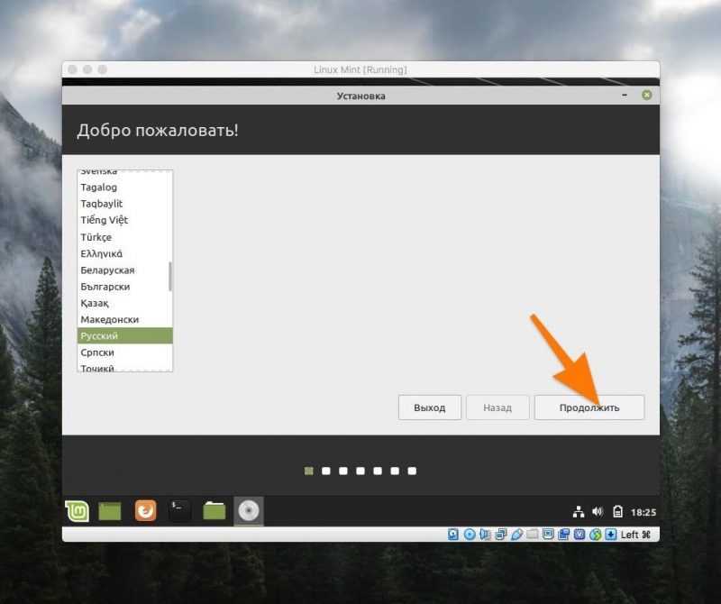 Первый экран в установщике Linux Mint